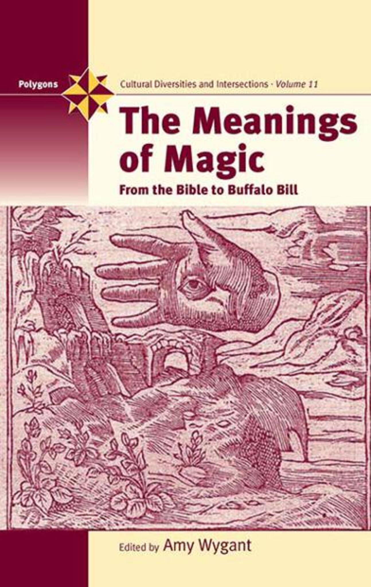 Cover image for The Meanings of Magic ISBN 9781845451783
